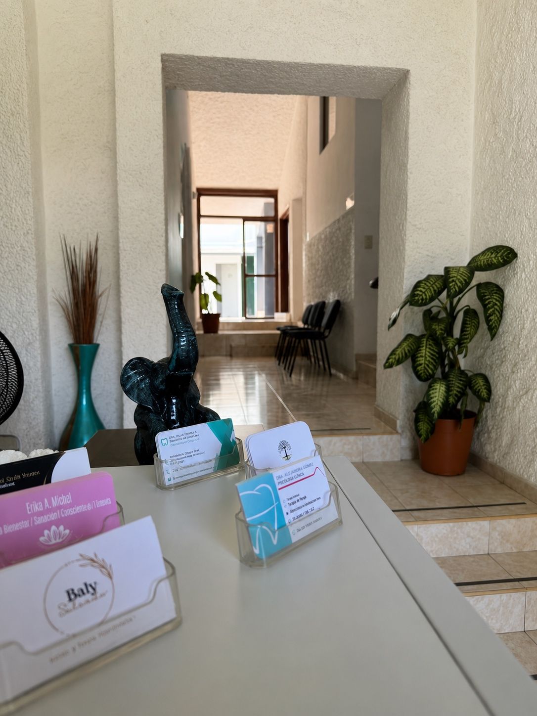 Privado de Sucursal Juan Manuel Vallarta